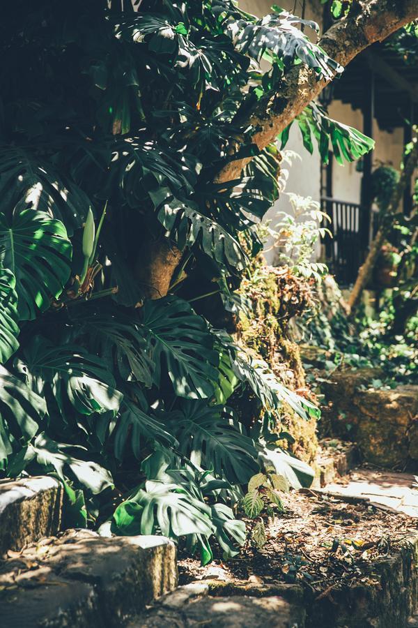 Hotel Hacienda Baza Tibana Екстер'єр фото
