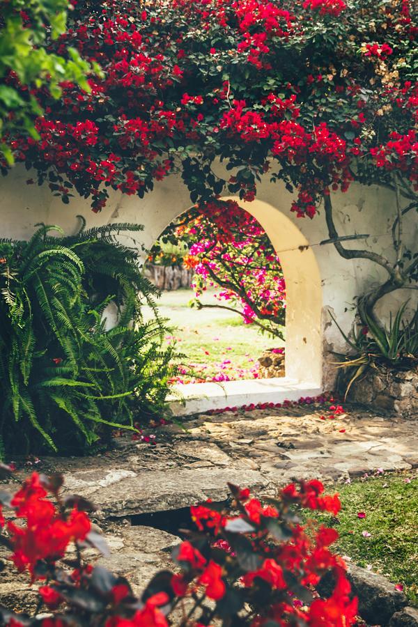 Hotel Hacienda Baza Tibana Екстер'єр фото